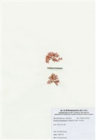 藏品(浪花藻)的圖片